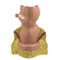 Rectum Model