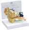 Ear Anatomical Model - Childs