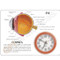 Cornea Eye Model Description Card