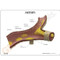 Artery Model Description Card