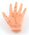 Hand AQcupuncture Model
