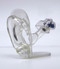 Ear Anatomical Model