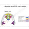 Sinus Anatomical Model Description Card