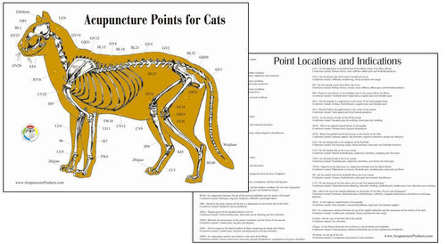 Cat Acupuncture Chart - Clinical Charts and Supplies