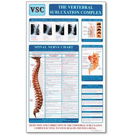 Vertebral Subluxation Chart