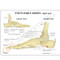 Foot and Ankle Anatomical Model Description Card