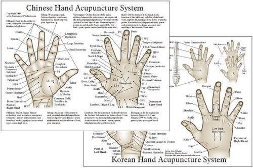 Chinese & Korean Hand Therapy Hand Acupuncture Chart ... ear skull diagram 