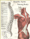 Healthy Spine / Strong Body Poster
