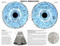 Iridology Chart