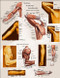 Upper Body Surface Landmarks of the Muscles Posters