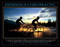 Feel the difference Chiropractic poster