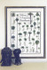 Palms & Cycads of the American Southeast Poster