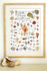 Shells of Florida's Gulf Coast Poster