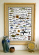 Fishes of the New England Coast Poster