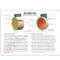 Diabetes model description card