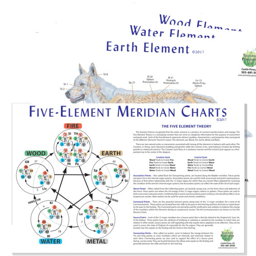 Canine 5 Element Chart Set - Clinical Charts and Supplies