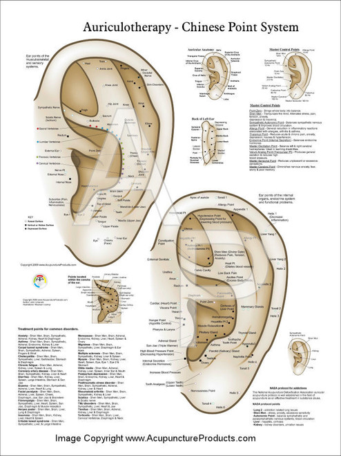 Chinese System of Auricular Ear Acupuncture Poster - Clinical Charts