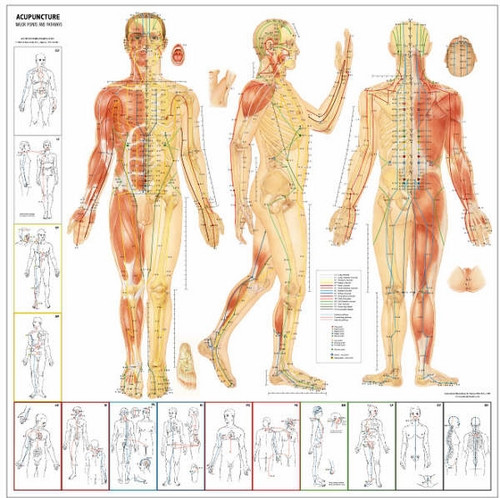 Acupuncture Posters ClinicalCharts.com