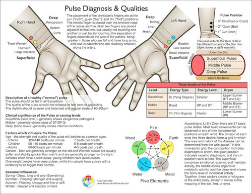 Pulse Diagnosis Chart 2nd ed. - Clinical Charts and Supplies