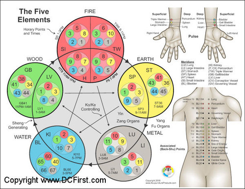 Applied Kinesiology Chart, 2nd ed. - 2 chart set - Clinical