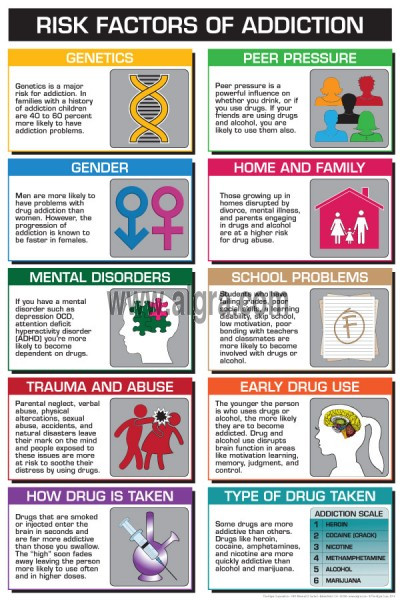 Risk Factors of Addiction - Clinical Charts and Supplies