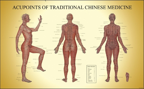 Acupuncture Chart Poster