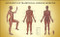 Acupoints of TCM (female) Acupuncture Chart
