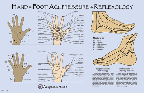 Interrelationships between Zones of the Feet and Meridians