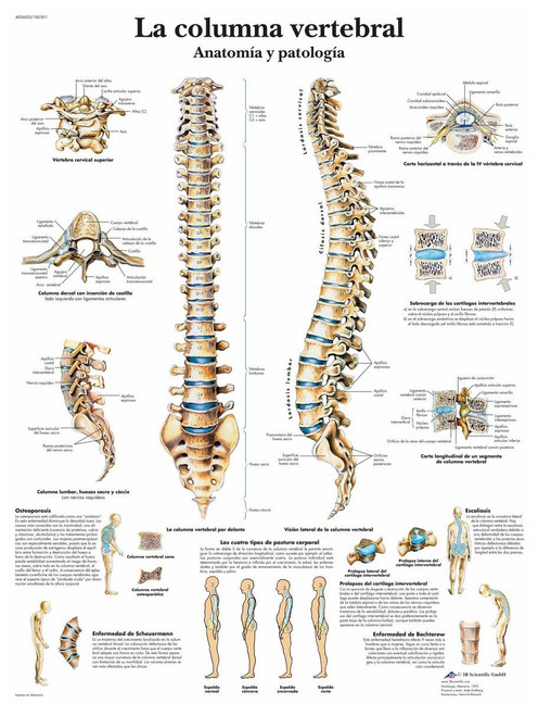 La columna desviada – Poster Central