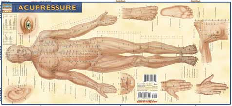 Acupuncture Charts and Acupressure Posters ClinicalCharts.com