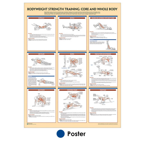 Bodyweight Strength Training Poster: Core - Clinical Charts and Supplies