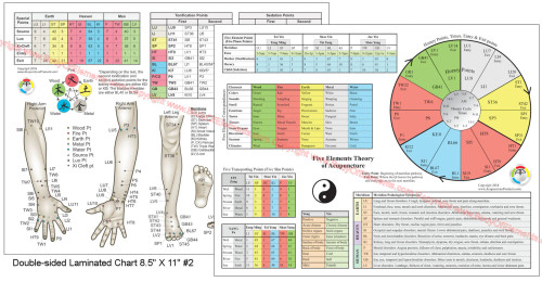 Five Element Acupuncture 2 Chart set - Clinical Charts and Supplies