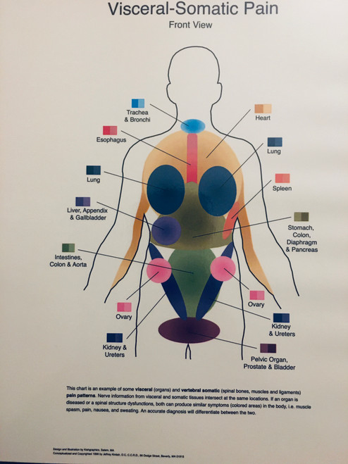 Visceral-Somatic Pain Chart - Clinical Charts and Supplies