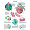 Asthma Anatomical Poster