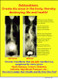 Subluxation Poster