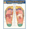 Reflexology Poster