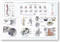 Spine Common Disorders Poster