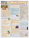 Aromatherapy Chart