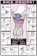 Back Exercise Poster