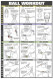 Swiss Ball Workout 2 - Exercise Poster