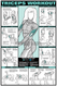 Triceps Exercise Poster