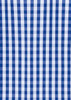 A blue and white checkered fabric pattern, featuring alternating large squares in a gingham style.