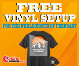 February Vinyl Promotion