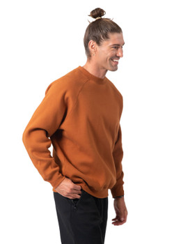 F367CW - ADULTS COTTON CARE SWEATSHIRT