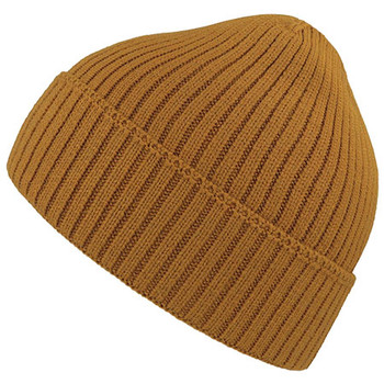 帽子 everyone everyone acrylic beanie Acrylic Beanie | Auclair – Auclair Sports