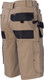 Desert Sand Back