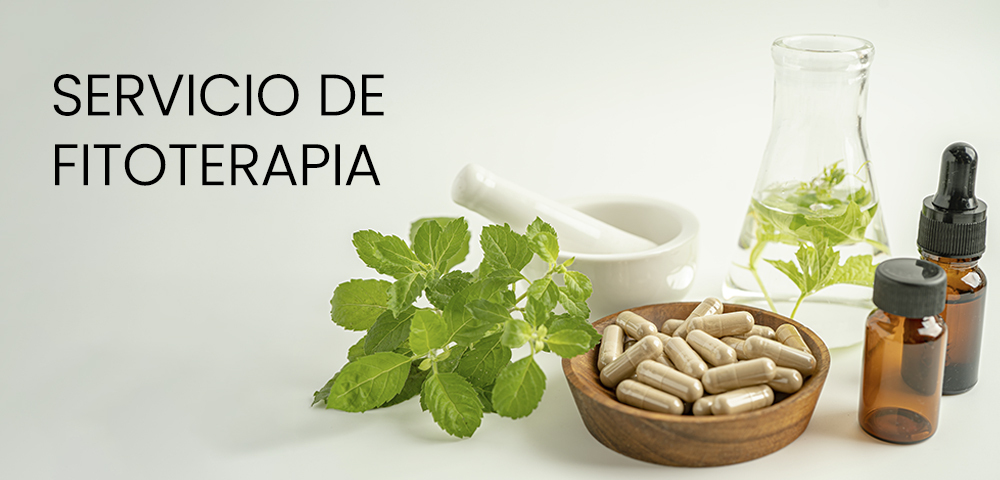 Descubre nuestro servicio de fitoterapia en Farmacia Maduel en Tarragona