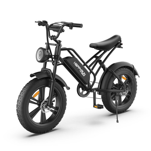 20 inch Fat Tyres Off-road Electric Bike