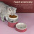 Double Cat Bowls 2 in 1 Automatic Pet Feeder,Detachable Gravity Water Dispenser and Food Bowl Set for Cats/ Puppies,Upgrade Design Anti Vomiting Raised Cat Bowls