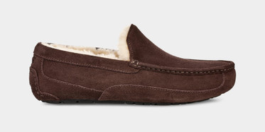 Ascot Slipper - Espresso